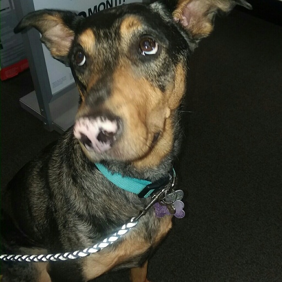 Meet your Posher, Sally - Picture 6 of 16